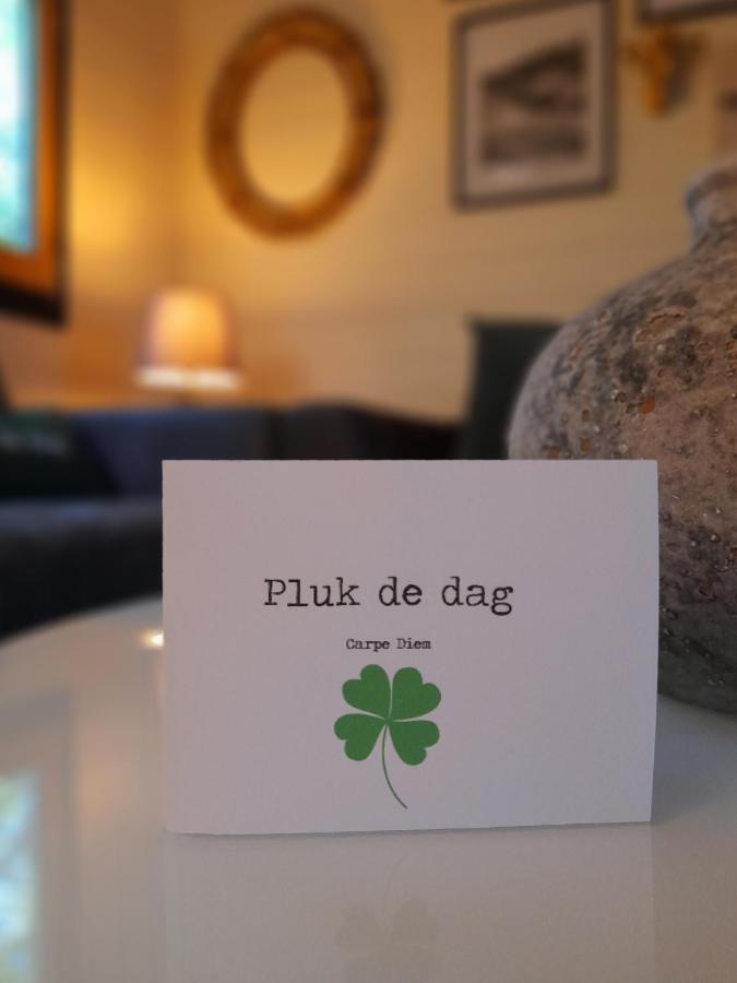 Carpe Diem, Het Ruime Chalet Met Houtkachel Nabij Wildlands Emmen Schoonebeek Esterno foto